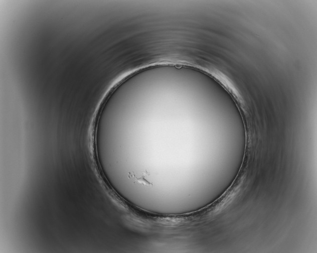 X0000096220854200801181028