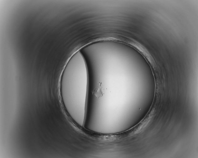 X0000096220858200801181028