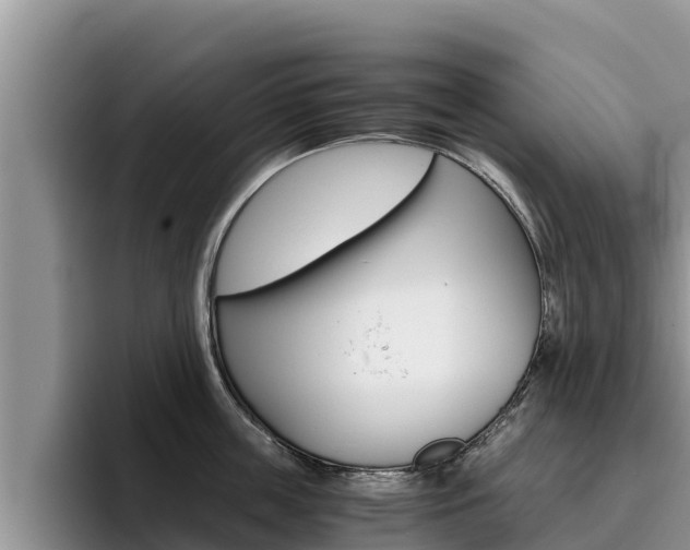 X0000096220859200801181028