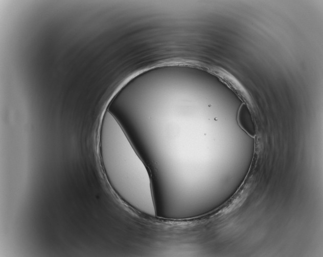 X0000096220860200801181028