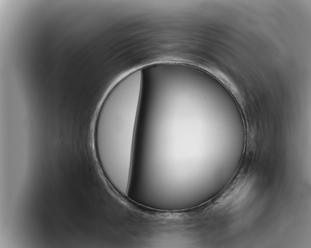 X0000096220862200801181028