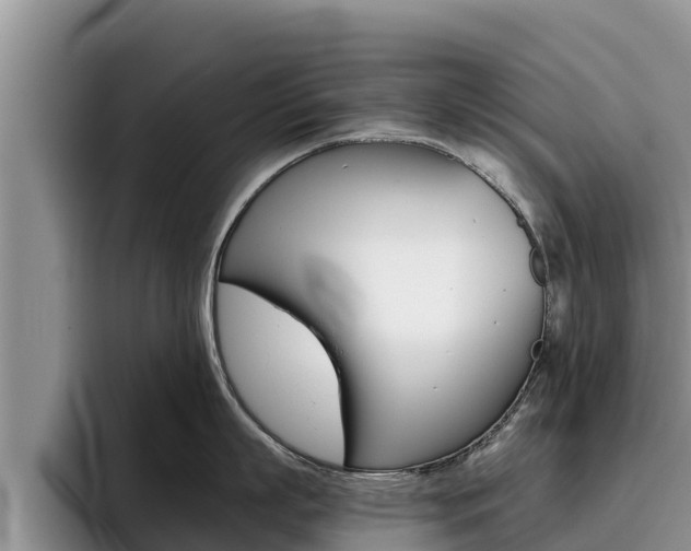 X0000096220863200801181028