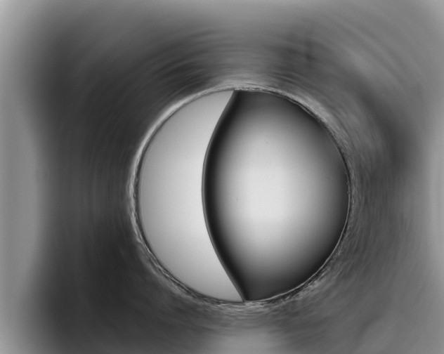X0000096220864200801181028