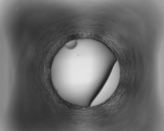 X0000096220865200801181027