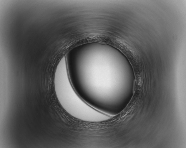 X0000096220868200801181027
