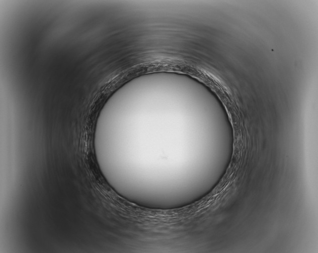 X0000096220869200801181027