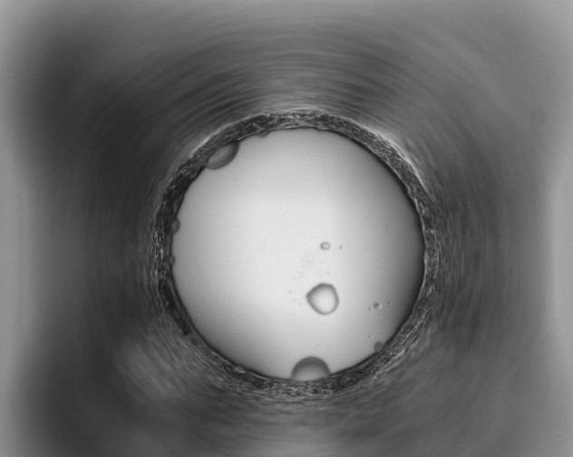 X0000096220871200801181027