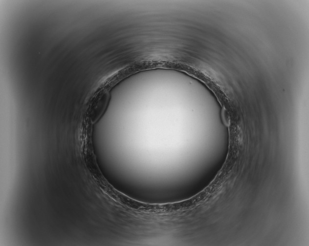 X0000096220872200801181027