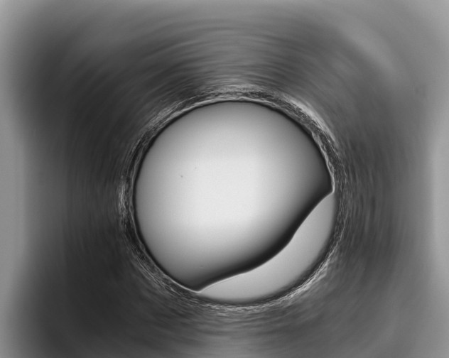 X0000096220873200801181027