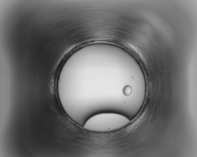 X0000096220875200801181027