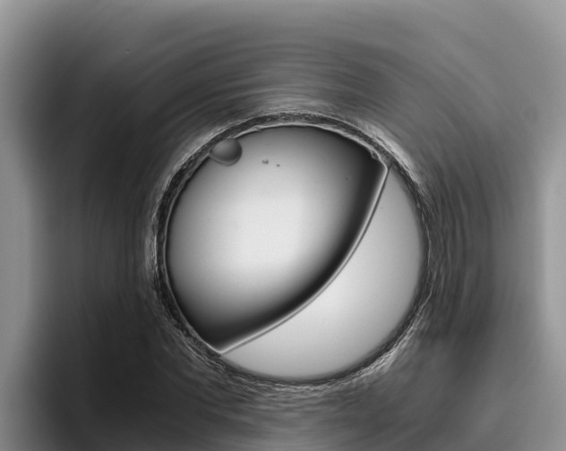 X0000096220877200801181027