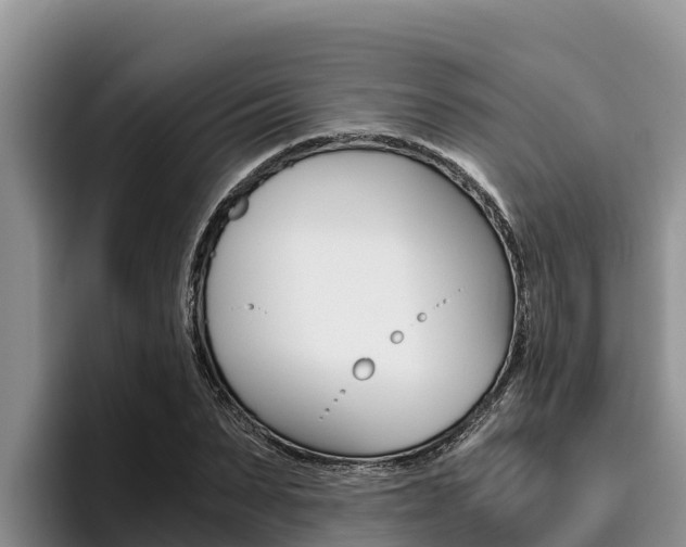 X0000096220879200801181027