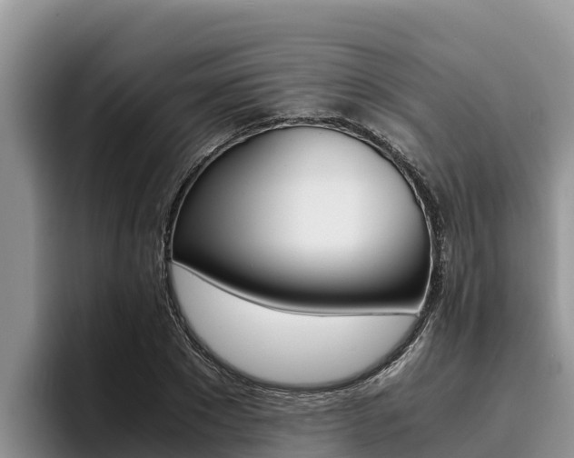 X0000096220881200801181027