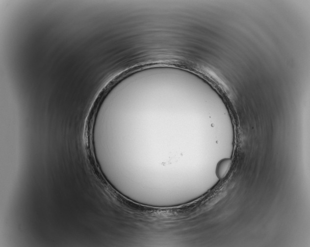 X0000096220883200801181027