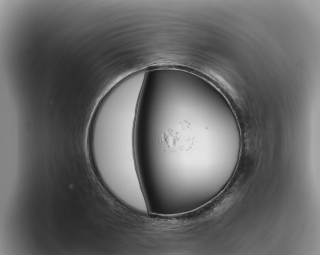 X0000096220885200801181027