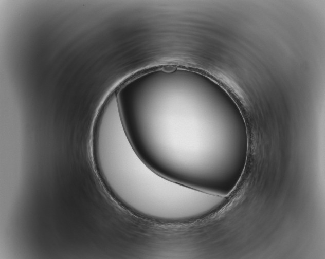 X0000096220888200801181027