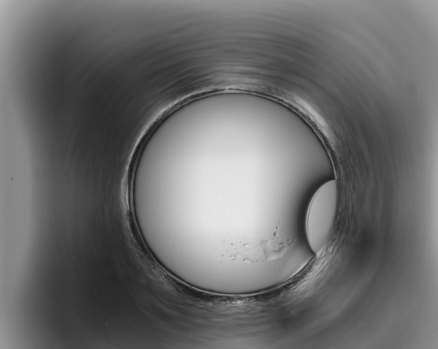 X0000096220891200801181027