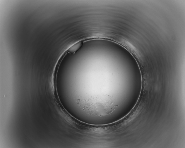 X0000096220892200801181027