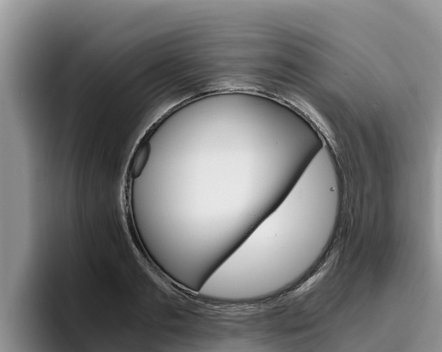 X0000096220893200801181027