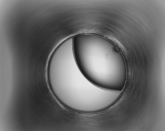 X0000096220894200801181027