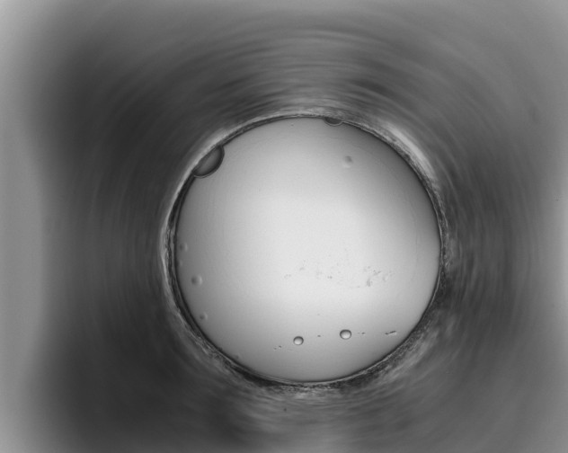 X0000096220899200801181027
