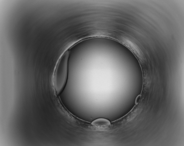 X0000096220900200801181027