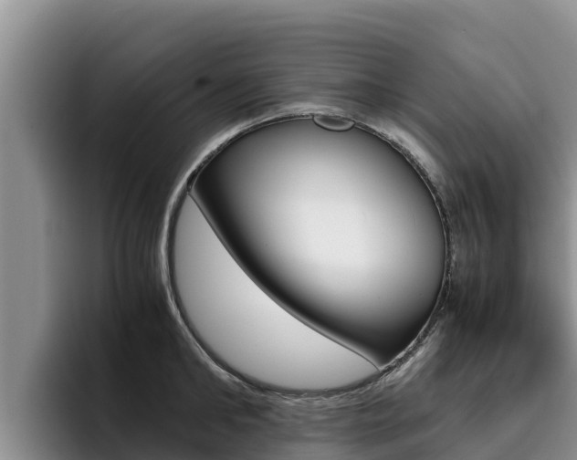 X0000096220902200801181027