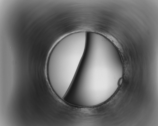 X0000096220904200801181027