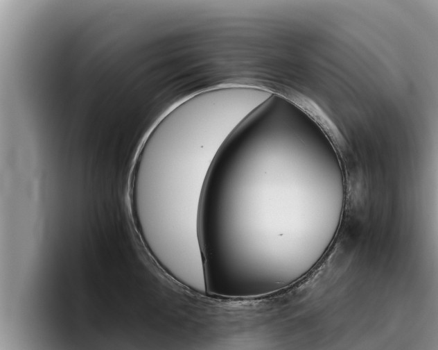 X0000096220908200801181027