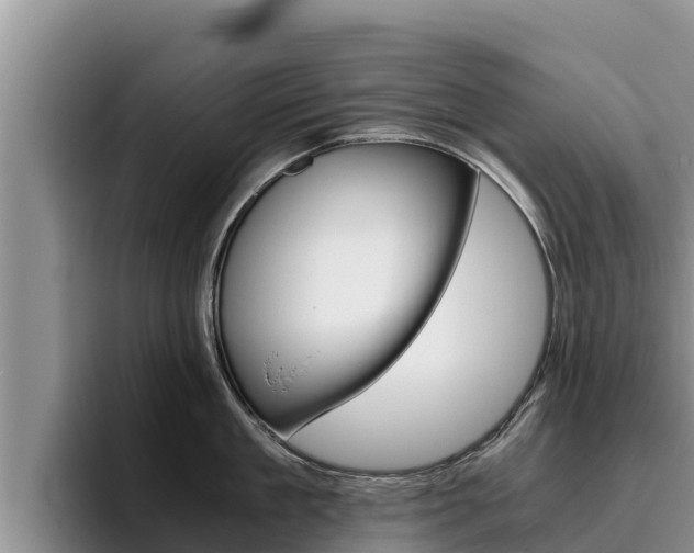 X0000096220909200801181027
