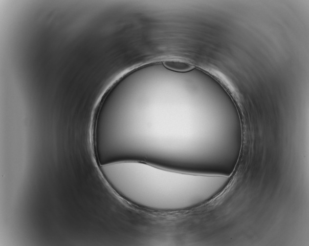 X0000096220910200801181027