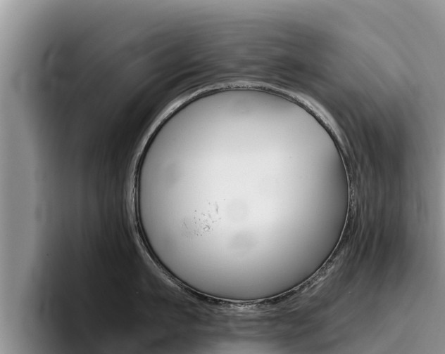 X0000096220911200801181027
