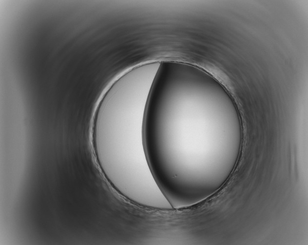 X0000096220912200801181027