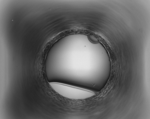 X0000096220919200801181026