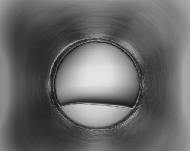 X0000096220924200801181026