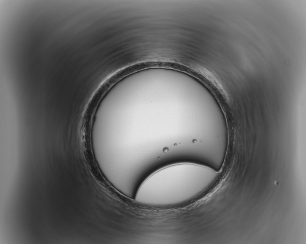 X0000096220926200801181026