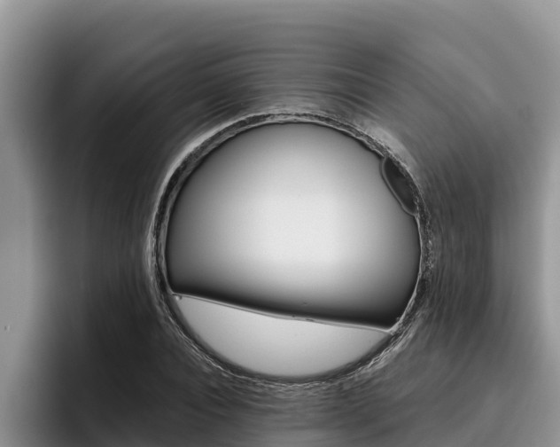 X0000096220928200801181026