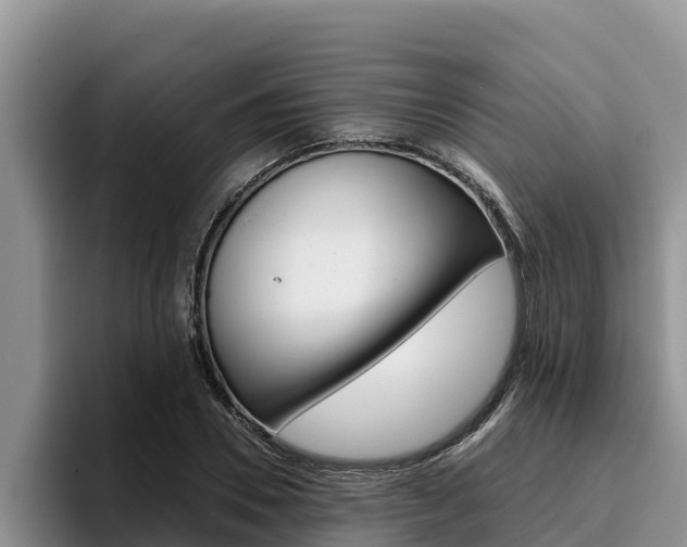 X0000096220930200801181026