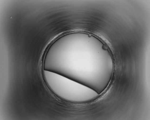 X0000096220933200801181026