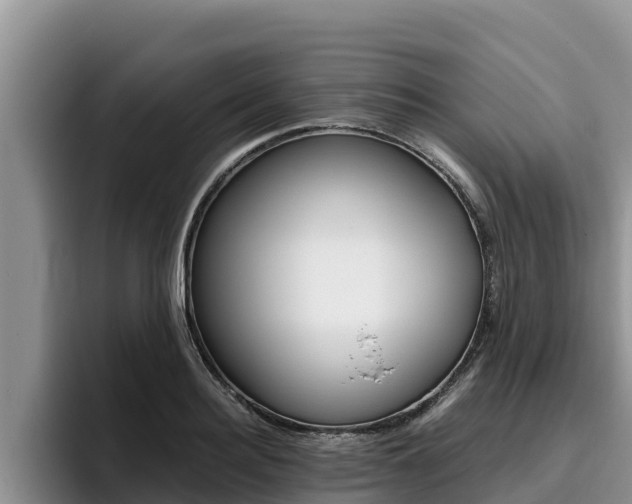 X0000096220940200801181026
