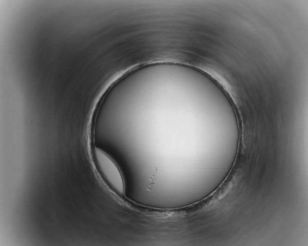 X0000096220949200801181027