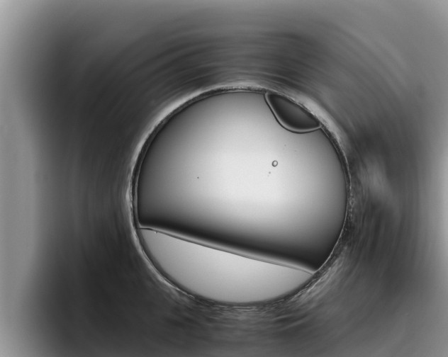 X0000096220951200801181027