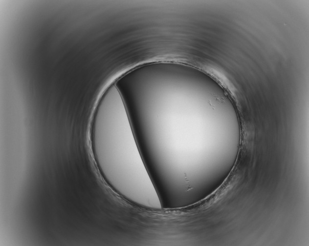 X0000096220952200801181027
