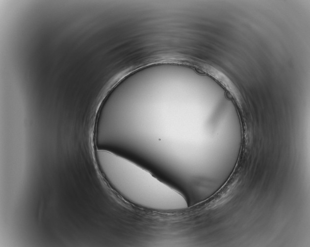 X0000096220954200801181027