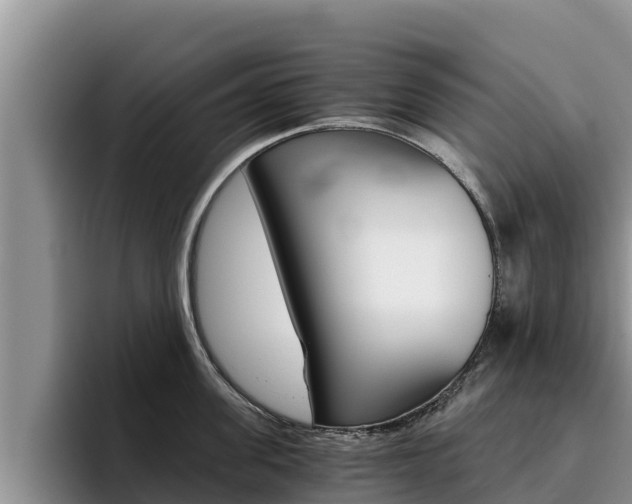 X0000096220955200801181027