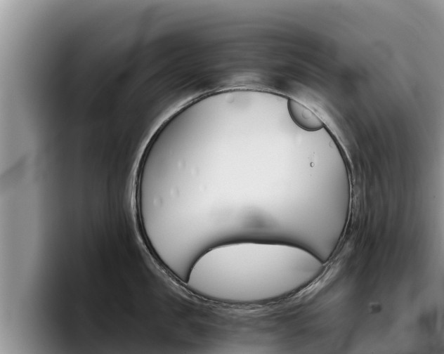 X0000096220957200801181027