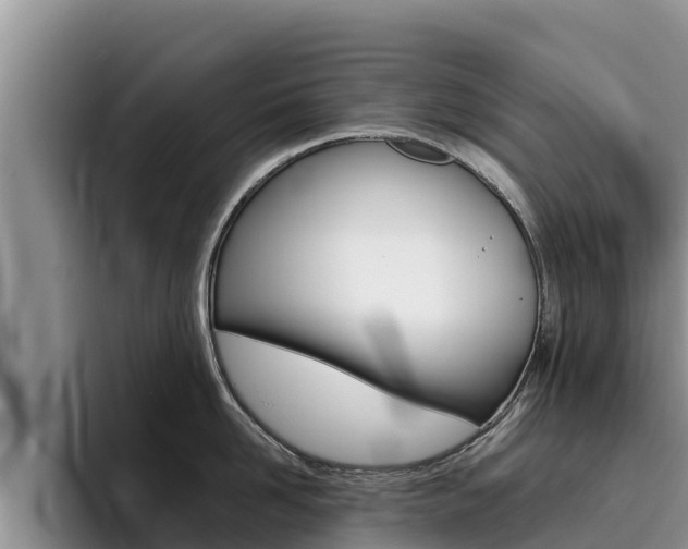 X0000096220958200801181027