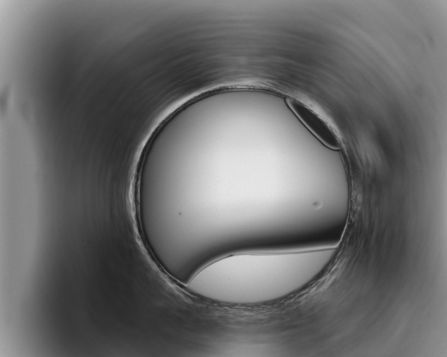 X0000096220959200801181027