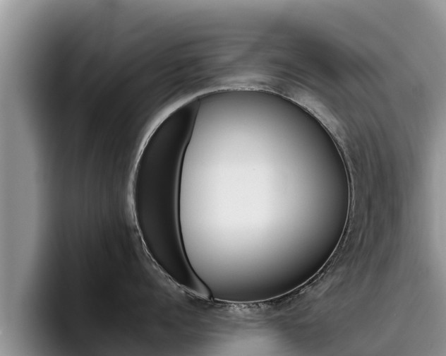 X0000096220960200801181027