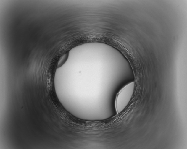 X0000096220963200801181026